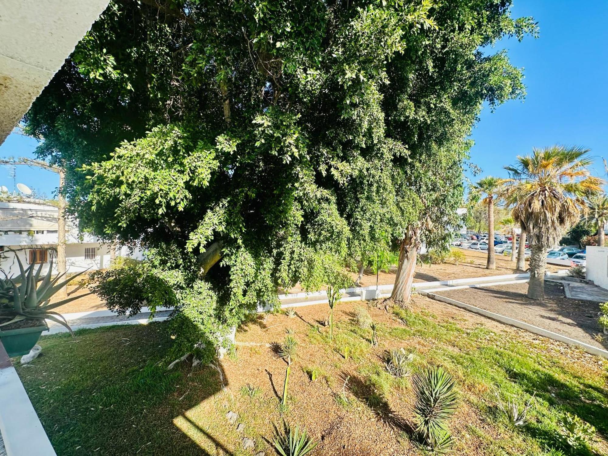 Apartamento Eureka Costa del Silencio Exterior foto